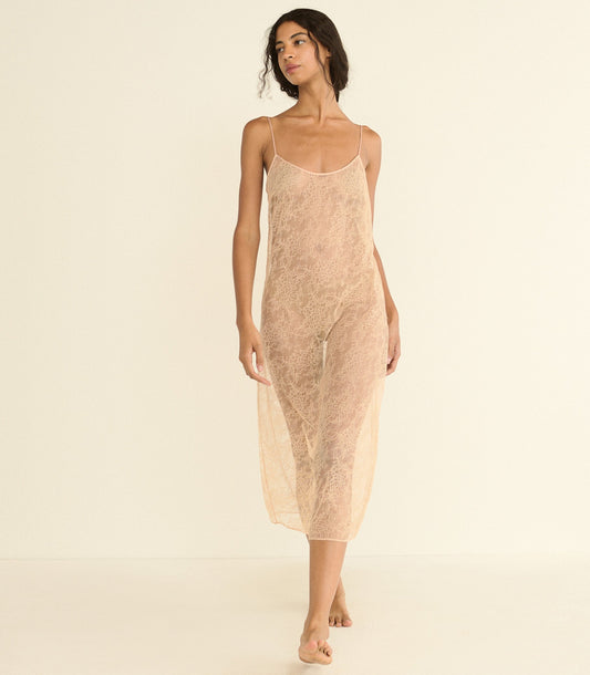 Amedine Lace Slip Dress Liner – Conch | Knee-Length