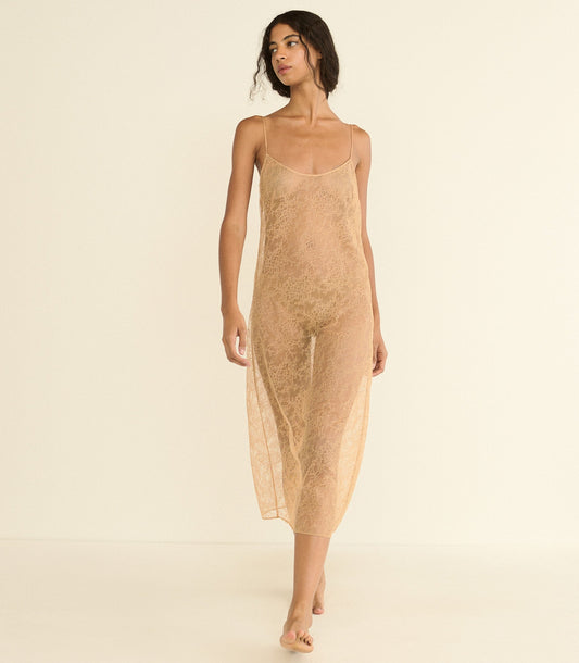 Amedine Lace Slip Dress Liner – Sand Dollar | Knee-Length